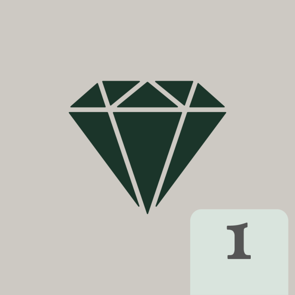 The Real Diamond (Part 1 of 7)